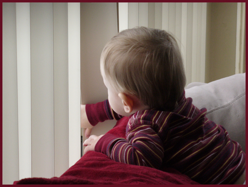 Dylan, 19 months, looking outside