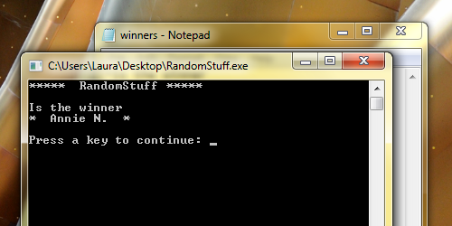 RandomStuff program displaying a winner